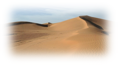 Dalle Dune all'Oceano